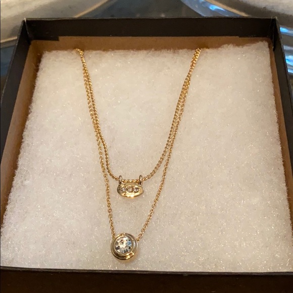 Banana Republic Almost Invisible Layering Necklace - Picture 4 of 13